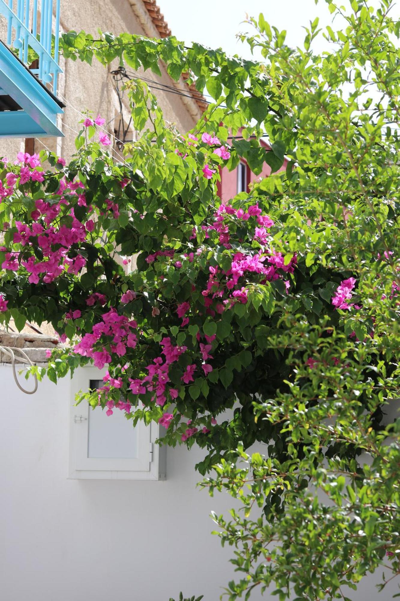Anemos Villa *